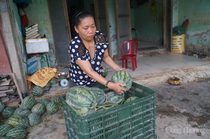 Mỗi trái dưa hấu hai mũi tên nặng từ 3kg đến 8kg và nổi tiếng là có vị ngọt, thanh