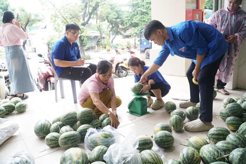 Hơn 25 tấn dưa Trường Định được tiêu thụ chỉ trong chưa đến 24 giờ đồng hồ