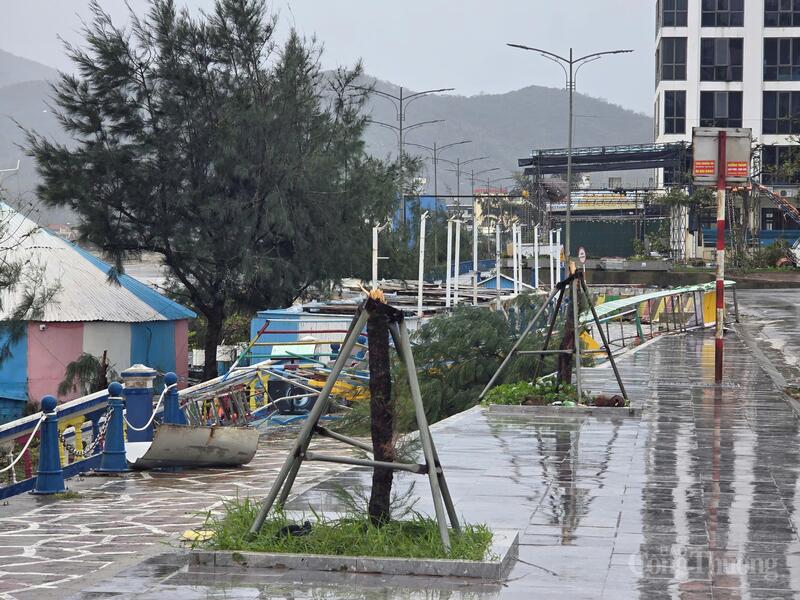 Cây xanh bị gió mạnh đã gãy