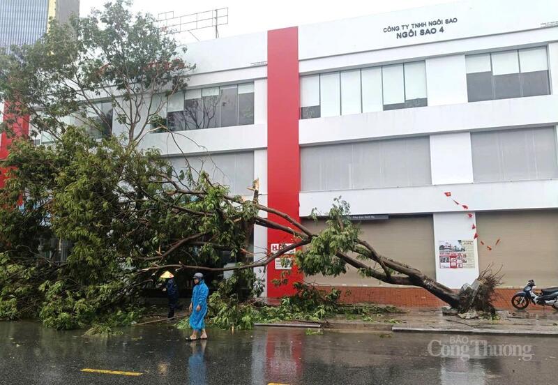 Cây xanh đổ chắn ngang một cửa hàng kinh doanh xe máy trên đại lộ Lê Lợi