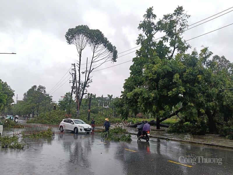 Hàng loạt cây đổ chắn ngang đường, lực lượng chức năng phải lập rào chắn cảnh báo