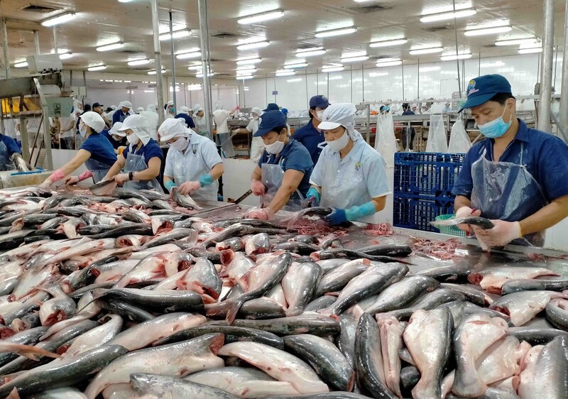 4 tháng đầu năm 2026, xuất khẩu thủy sản ước đạt 3,59 tỷ USD, tăng 11,9% so với cùng kỳ năm 2025. Ảnh minh họa