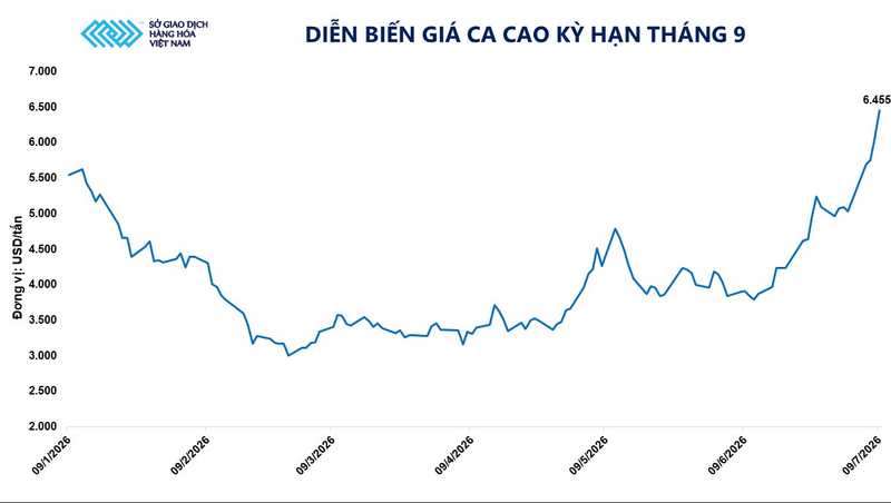Diễn biến giá ca cao kỳ hạn tháng 9. Nguồn: MXV