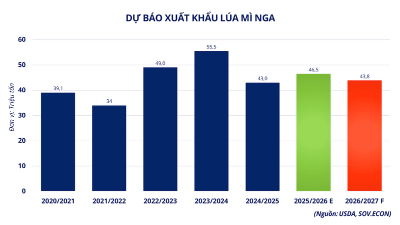 Dự báo xuất khẩu lúa mì Nga. Nguồn: MXV