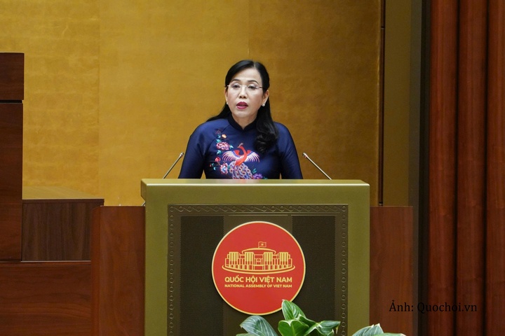 Chủ nhiệm Ủy ban Khoa học, Công nghệ và Môi trường của Quốc hội Nguyễn Thanh Hải trình bày báo cáo tóm tắt thẩm tra dự án luật.
