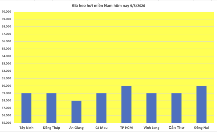 Giá heo hơi hôm nay 9/8/2026: Kéo dài đà giảm trong tuần - 3