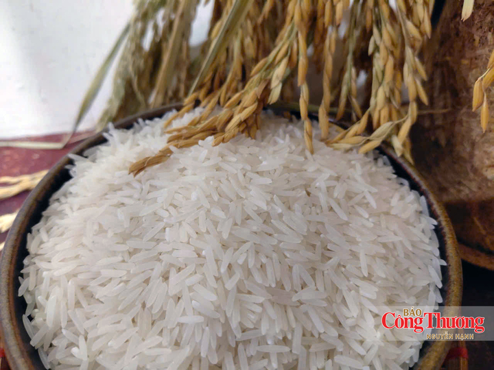 Gạo Ngọc Nương 9 của Vinaseed (thuộc PAN Group).
