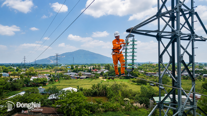 62 công trình lưới điện trung, hạ thế đã được khởi công trong năm 2026, nhiều công trình đã đạt trên 50% khối lượng thi công.