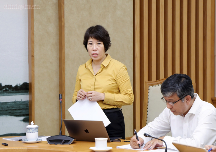 Thứ trưởng Bộ Tài chính Nguyễn Thị Bích Ngọc phát biểu tại cuộc họp. Ảnh: chinhphu.vn/Gia Huy