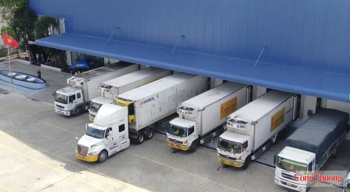 Thiếu khâu chế biến, kho lạnh và logistics phù hợp, vùng nguyên liệu khu vực phía Nam cũng khó tạo ra giá trị tương xứng với sản lượng.