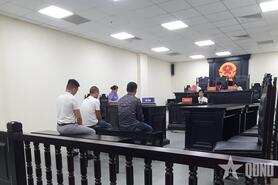 Đối tượng buôn lậu hổ xuyên quốc gia nhận án 7 năm tù