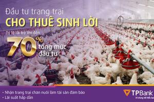 TPBank dành 1.000 tỷ đồng tài trợ xây dựng trang trại chăn nuôi để cho thuê