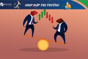 Nhịp đập Thị trường 17/01: Phục hồi trở lại trên đường Middle