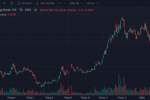 Chứng khoán VIX báo lãi vượt 35% kế hoạch năm 2021