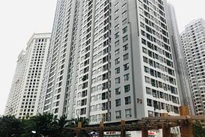 Đầu tư đất nền hay chung cư mới là lựa chọn thông minh trong cơn sốt bất động sản hiện thời?