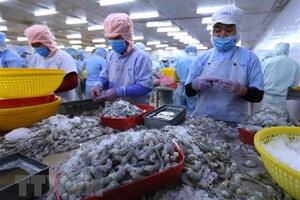 Tôm vẫn là "át chủ bài" của xuất khẩu thủy sản trong những năm tới
