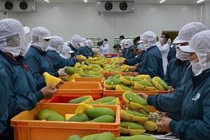 SPS Việt Nam đề nghị gỡ khó cho doanh nghiệp xuất khẩu nông sản sang Trung Quốc
