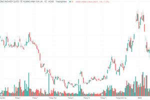 Công ty bầu Đức bán tiếp 25,4 triệu cổ phiếu HNG để trả nợ ngân hàng