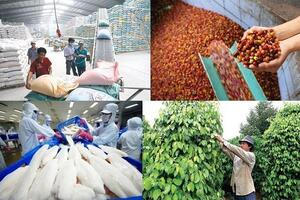 Nông sản Việt đang có cơ hội lớn gia tăng thị phần tại thị trường Hoa Kỳ