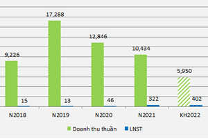 BAF đặt mục tiêu lợi nhuận tăng 25% trong năm 2022