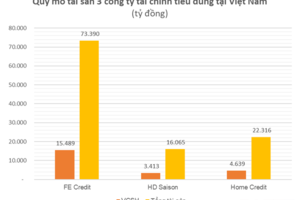 Từng thống trị mảng tài chính tiêu dùng từ chục năm trước, Home Credit Việt Nam kinh doanh ra sao trước khả năng đổi chủ?