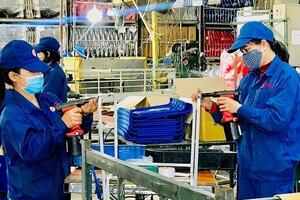 Doanh nghiệp Việt Nam - Mexico tìm kiếm đối tác tiềm năng