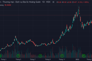 CEO Louis Land được đề cử vào HĐQT Địa ốc Hoàng Quân