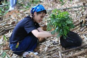 Siberian Wellness triển khai chương trình phủ xanh 100ha rừng tại Việt Nam