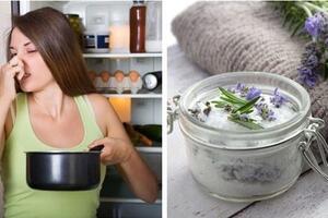 Tủ lạnh bốc mùi hôi hãy dùng ngay nguyên liệu rẻ tiền này để khử sạch
