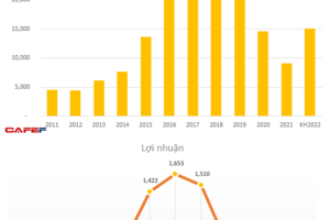 Lợi nhuận 2021 sụt giảm 93% xuống 24 tỷ đồng, Coteccons gây bất ngờ khi đặt kế 2022 thậm chí còn thấp hơn