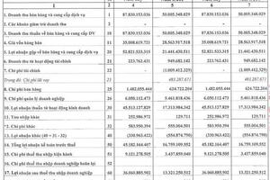 Lideco (NTL) báo lãi quý 1/2022 tăng trưởng 171% so với cùng kỳ