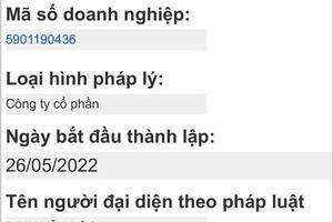 HAGL đã lập công ty riêng cho thương hiệu Heo ăn chuối BAPI: Bầu Đức đang tăng tốc hành trình cung cấp dòng heo sạch với doanh thu mục tiêu 10.000 tỷ