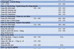 Những vị trí có mức lương trên 300 triệu đồng tại Việt Nam
