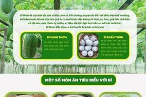 Triển khai hoạt động tăng tính nhận diện cho nông sản Bắc Kạn