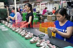 Ồ ạt rút BHXH một lần: Đừng để người lao động khủng hoảng niềm tin