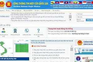 Gần 55.000 doanh nghiệp tham gia Cơ chế một cửa quốc gia