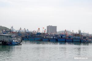 Khánh Hòa phát thông báo 19 tàu cá thuộc diện mất tích