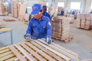 Phú Tài (PTB): Lợi nhuận nửa đầu năm 2022 tăng 31% so với cùng kỳ, đặt mục tiêu lãi 540 tỷ đồng sau 9 tháng