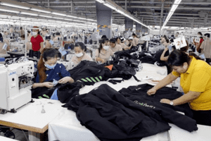 Nhận định nền kinh tế Việt Nam năm 2023 khi dịch bệnh COVID-19 được kiểm soát