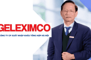 Geleximco trước khi làm ô tô: Hệ sinh thái đồ sộ từ BĐS, tài chính, Điện, giấy... đến nuôi lợn và trồng vải thiều