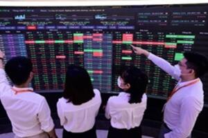 Vi phạm quy định về quản lý chứng khoán của khách hàng, WSS bị phạt 175 triệu đồng