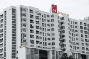 Phạt, đình chỉ Tổng công ty 36 do vi phạm về đất đai và khoáng sản