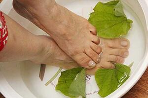 Ngâm chân tay bằng lá lốt đánh bay nhiều bệnh nguy hiểm, cơ thể khỏe thêm mỗi ngày