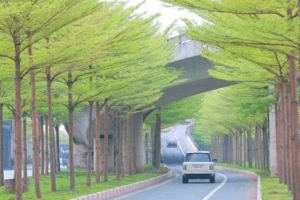 Hà Nội đưa Gia Lâm, Đông Anh lên quận vào năm 2023