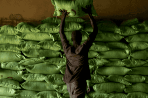 Đồng USD tăng giá trở thành "cơn ác mộng": Hàng hoá không được thông quan, nhiều quốc gia "cạn kiệt" thực phẩm