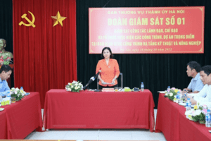 Tập trung chỉ đạo, đôn đốc, tăng cường giám sát các công trình, dự án trọng điểm