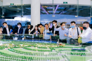 Chuyển động mới của bất động sản ven biển Phan Thiết