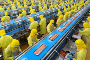 VKFTA thúc đẩy thương mại, đầu tư Hàn Quốc vào Việt Nam