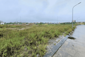 Nhà đầu tư vốn "khoẻ" vẫn đi "săn" đất đấu giá