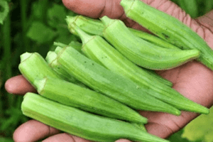 Gan là nhà máy thải độc, 5 loại rau ăn thường xuyên để "giảm cân" cho gan, không lo bệnh tật